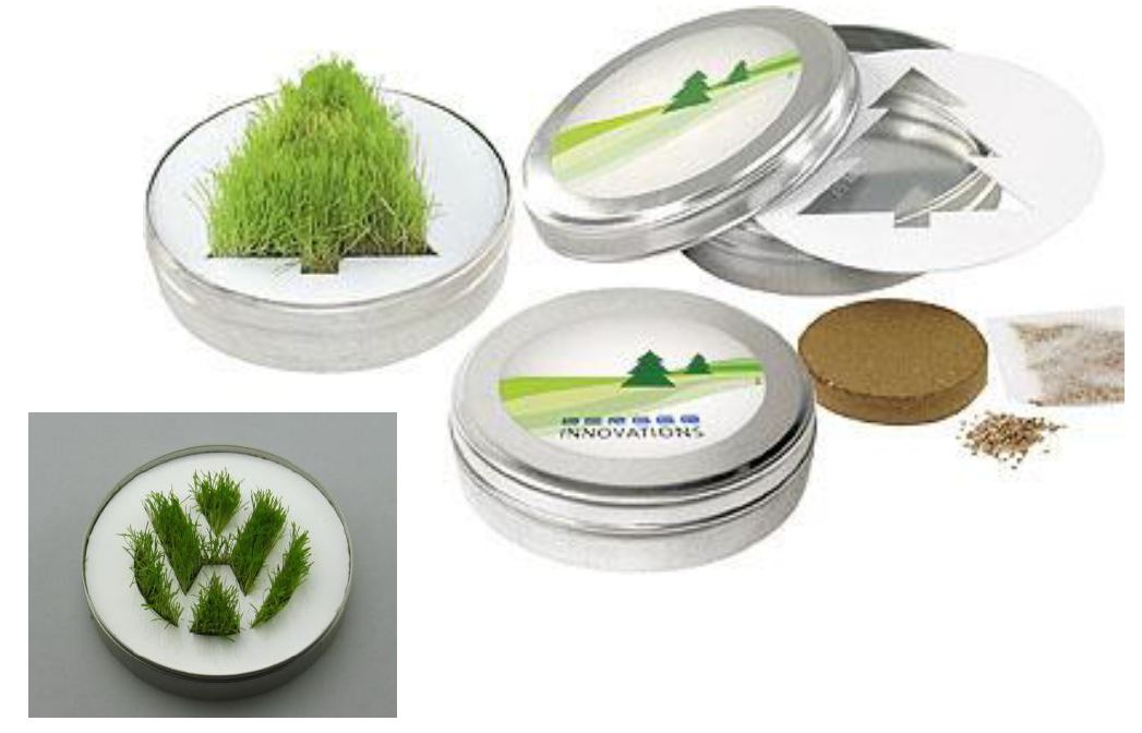 Log� form�ban n�v� f�